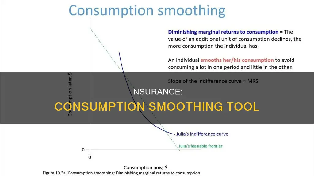 what is consumption smoothing how does insurance help people