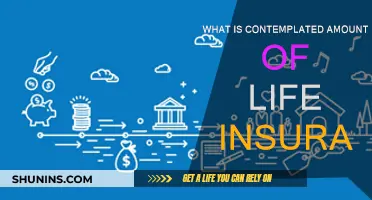 How Much Life Insurance Do You Need?