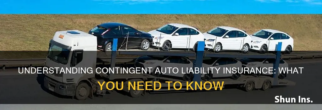 what is contingent auto liability insurance