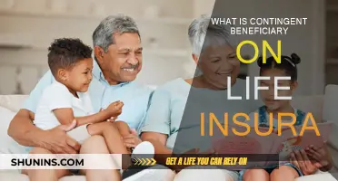 Who Gets Your Life Insurance: Contingent Beneficiary Basics