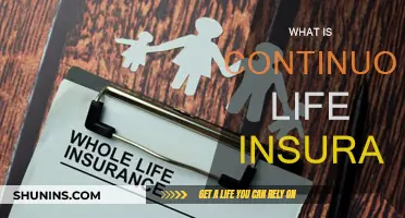 Life Insurance Without Expiry: Continuous Coverage Explained