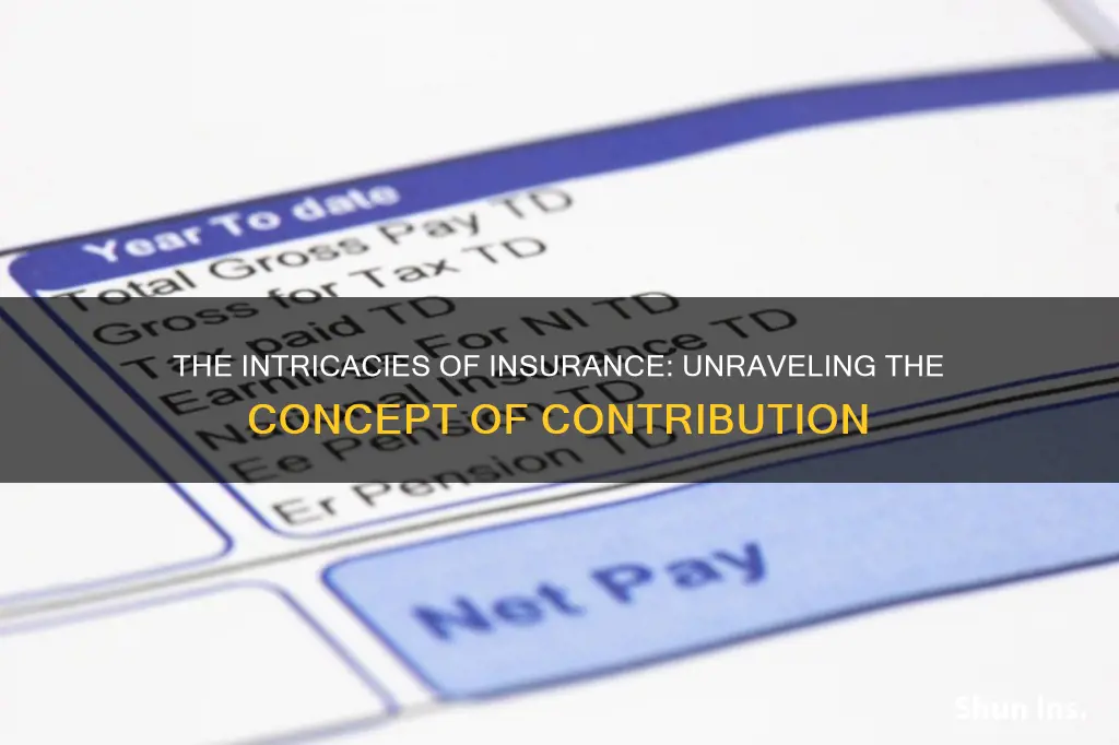 what is contribution in insurance terms