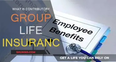 Understanding Group Life Insurance and Its Contributions