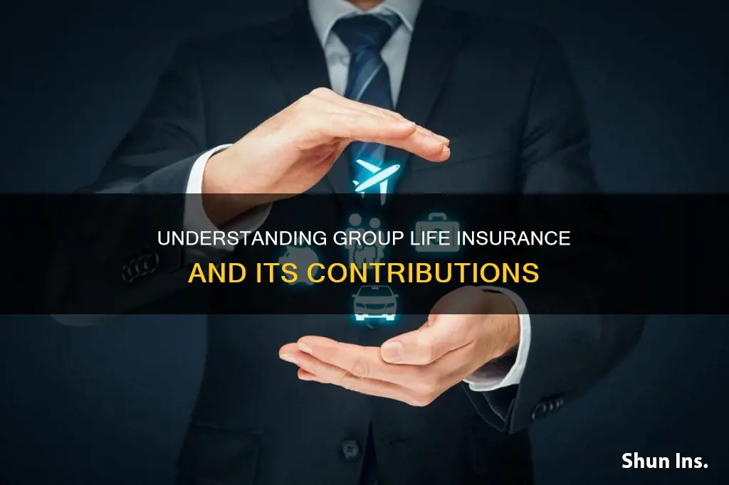 what is contributory group life insurance