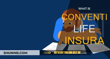 Conventional Life Insurance: What You Need to Know