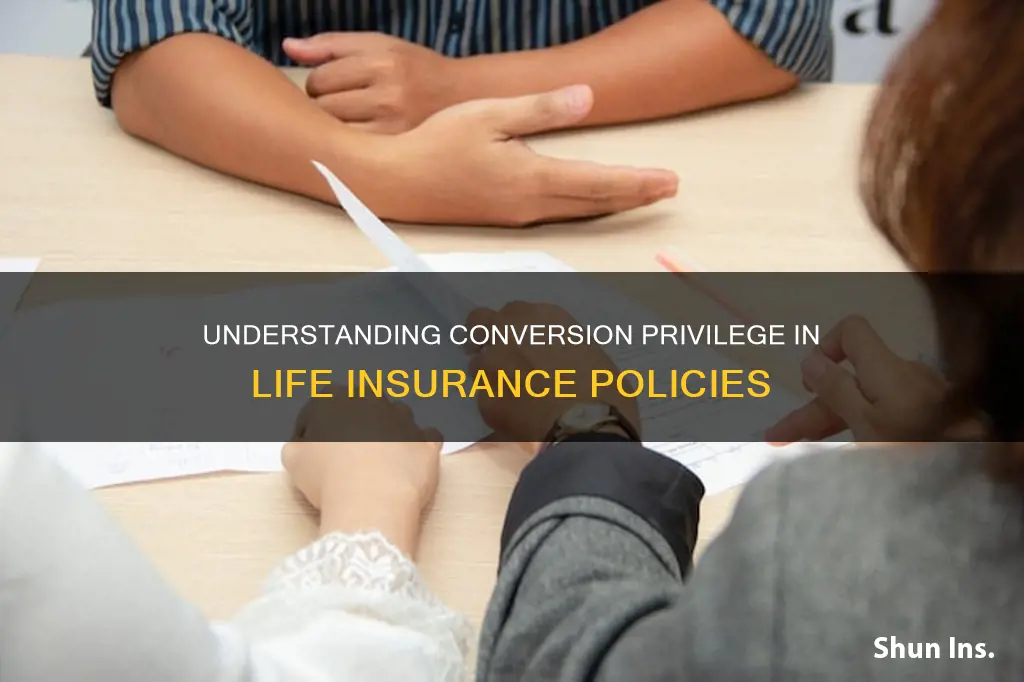 what is conversion privilege on life insurance