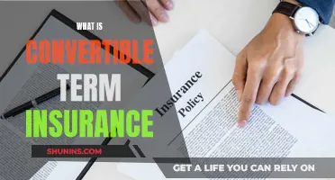 Understanding Convertible Term Insurance: Flexibility for Changing Needs