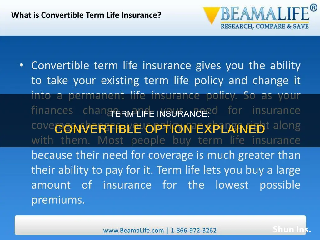 what is convertible term life insurance