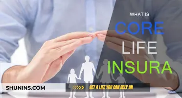 Life Insurance Basics: Core Life Insurance Explained