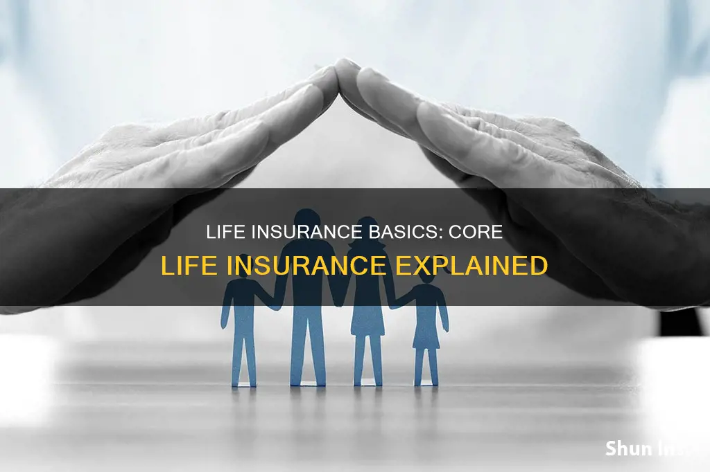 what is core life insurance