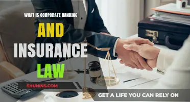 Exploring Corporate Banking and Insurance Law