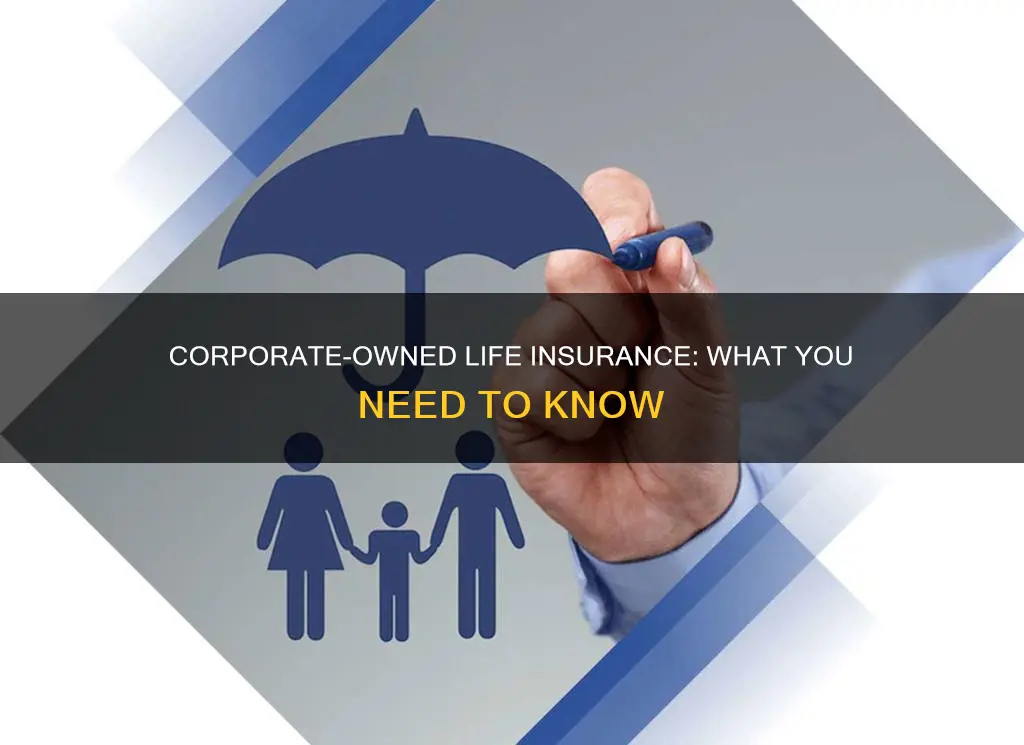 what is corporate owned life insurance