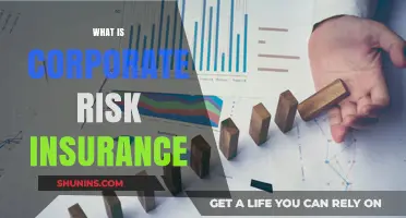 Corporate Risk Insurance: Protecting Your Business Interests