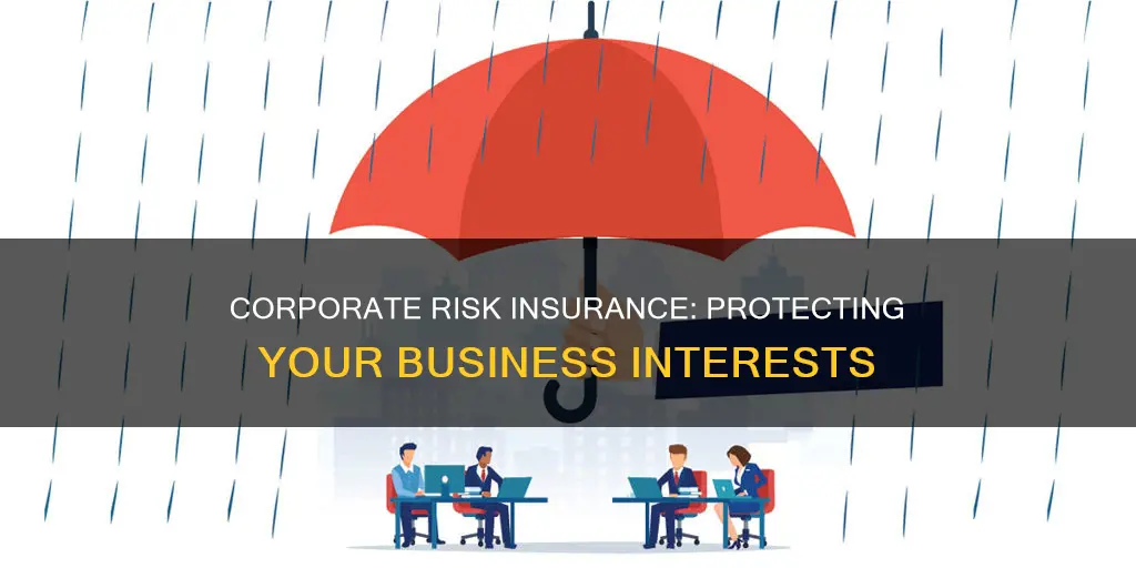 what is corporate risk insurance