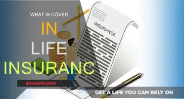 Life Insurance Coverage: What's Included?