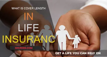 Understanding Life Insurance: Cover Length Explained