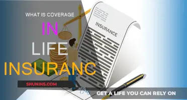 Understanding Life Insurance Coverage: What You Need to Know