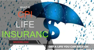 Understanding CPI Life Insurance: How It Works