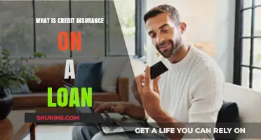 Understanding Credit Insurance: Protecting Your Loan and Financial Future