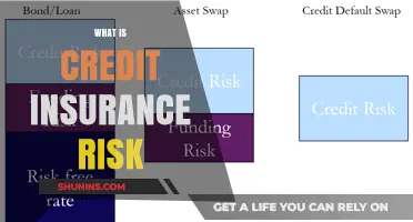 Credit Insurance Risk: Protecting Your Business Interests