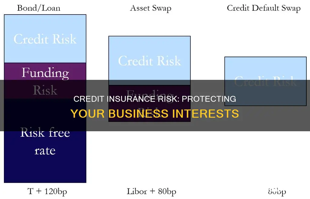 what is credit insurance risk
