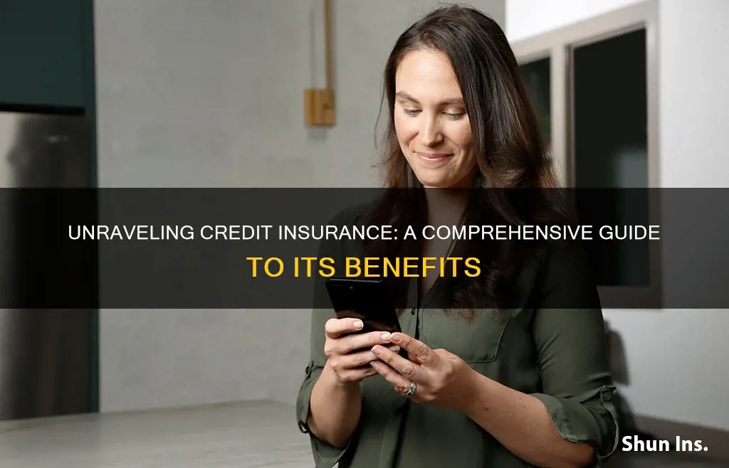 what is credit insurance services