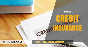 Understanding Credit Insurance: Benefits, Costs, and How It Protects Your Finances