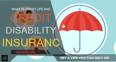 Credit Life and Disability Insurance: Protecting Your Finances