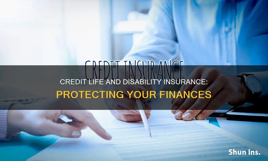 what is credit life and credit disability insurance