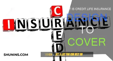 Credit Life Insurance: What Does It Cover?