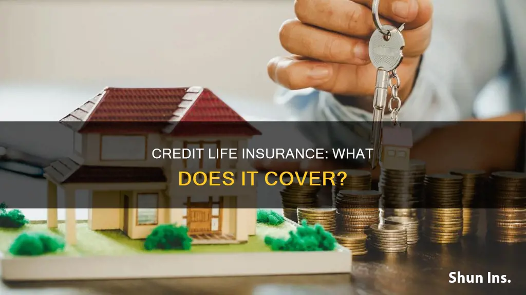 what is credit life insurance designed to cover