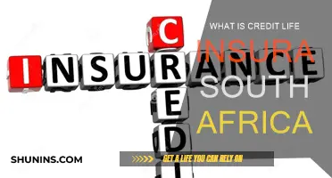 Credit Life Insurance: What South Africans Need to Know