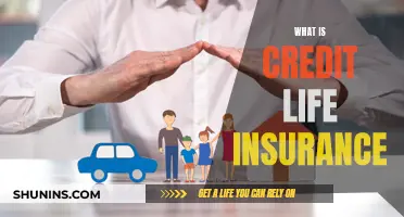 Credit Life Insurance: What It Is and Why It Matters