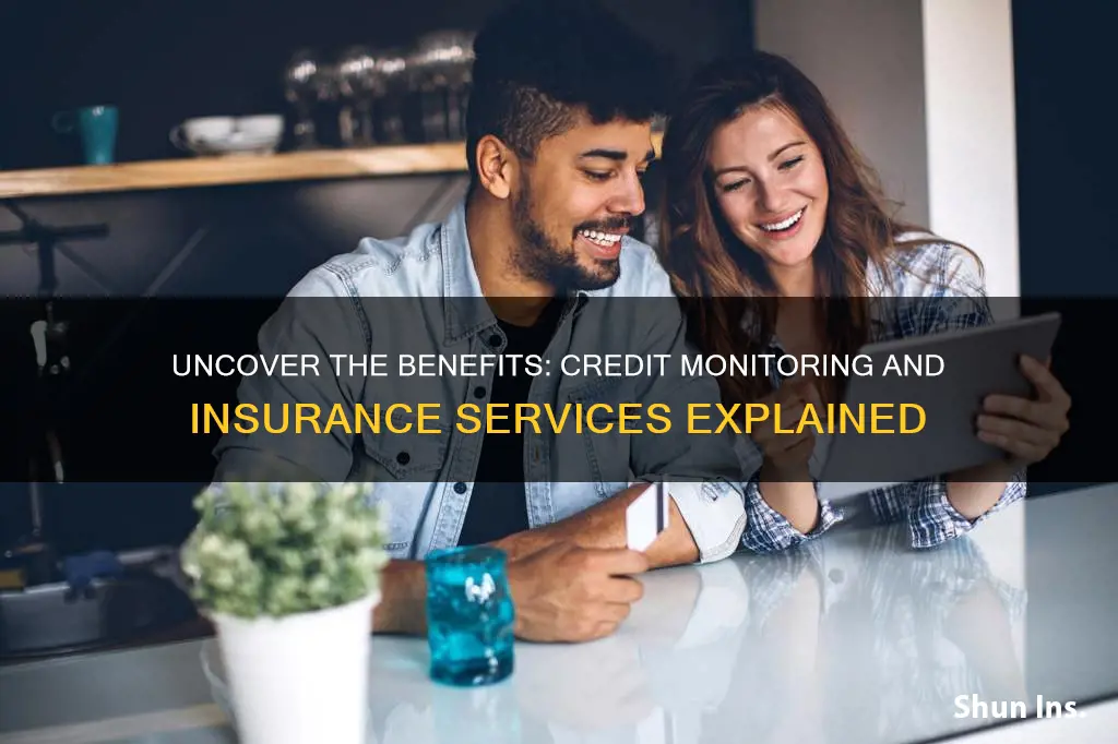 what is credit monitoring and insurance services