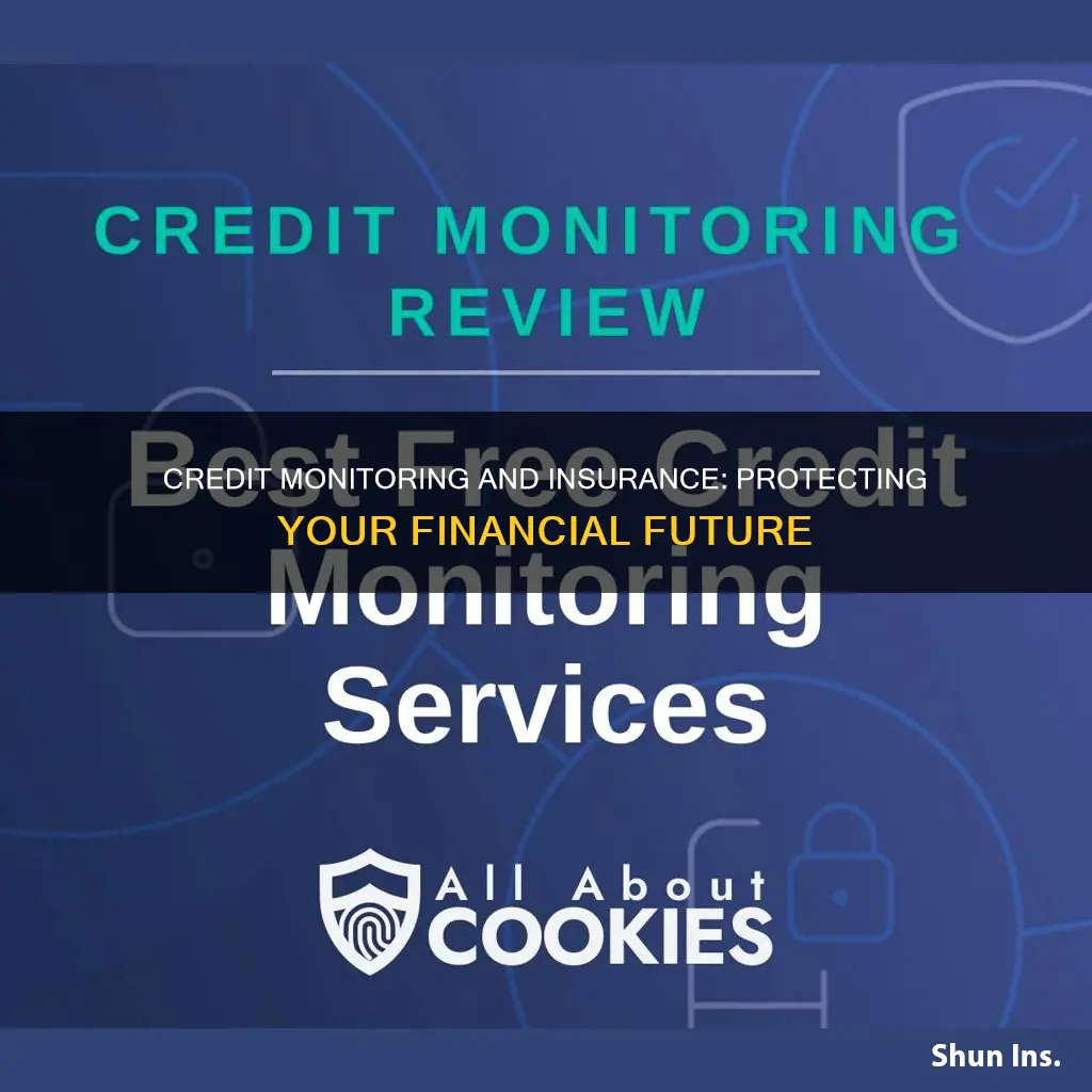 what is credit monitoring and insurance services