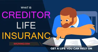 Creditor Life Insurance: Protecting Your Loved Ones' Finances