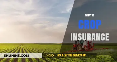 Protecting Farmers: Understanding Crop Insurance