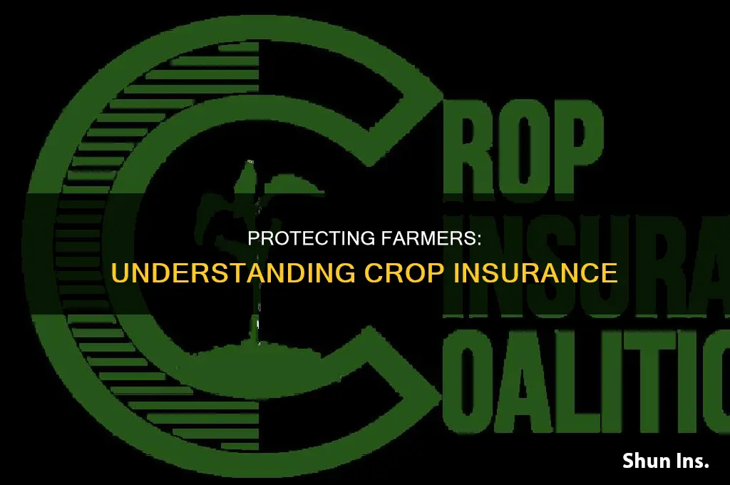what is crop insurance