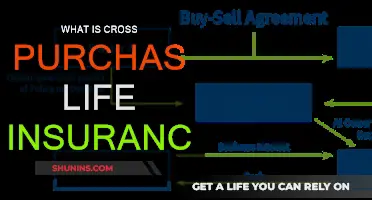 Understanding Cross-Purchase Life Insurance Schemes