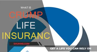 Understanding Crump Life Insurance: What You Need to Know