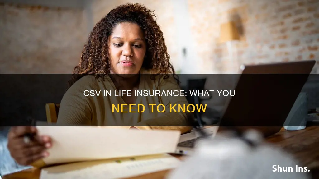 what is csv in life insurance