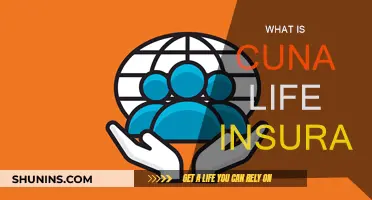 Cuna Life Insurance: What You Need to Know