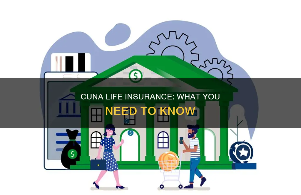 what is cuna life insurance