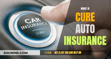 Auto Insurance Cure: What You Need to Know