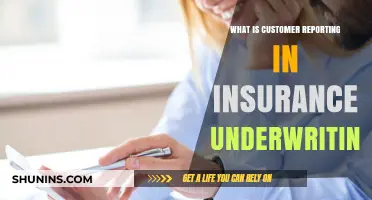 Customer Reporting: A Vital Insurance Underwriting Tool