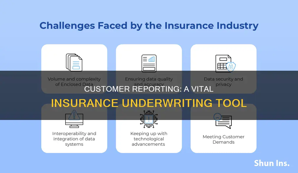 what is customer reporting in insurance underwriting