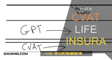 CVAT Life Insurance: What You Need to Know