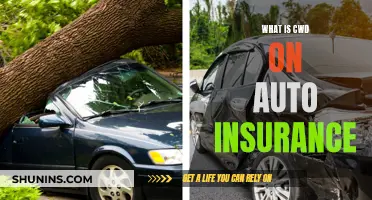 Understanding CWD on Your Auto Insurance Policy