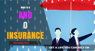 Understanding D&O Insurance: Protecting Directors and Officers from Liability