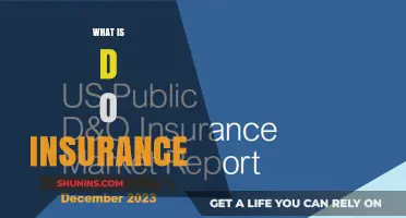 Understanding D&O Insurance: Protecting Directors and Officers from Liability
